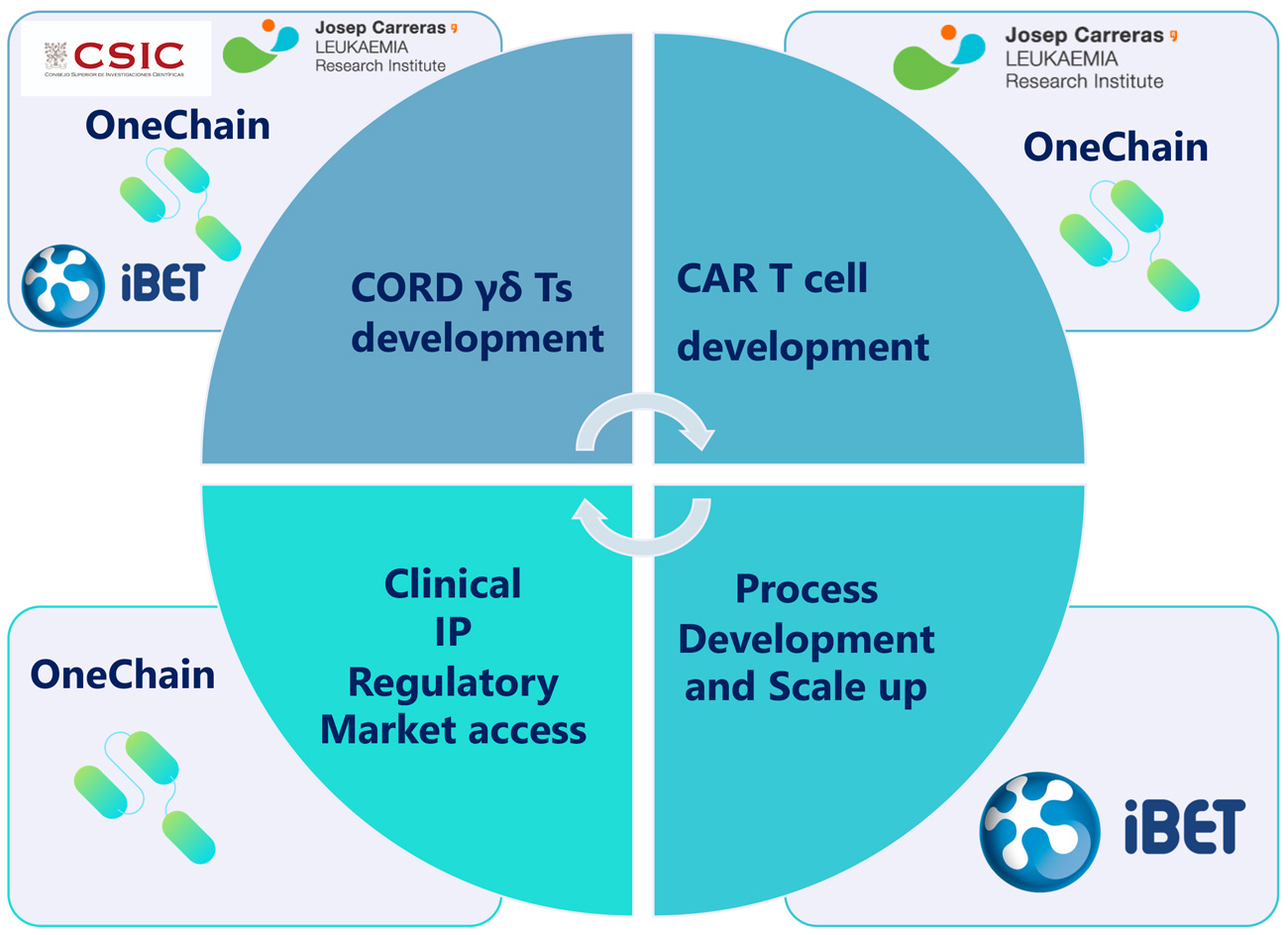 Carxall Engagement of partners with academic leaders